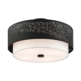 thumbnail image 3 of Livex Lighting - Noria - 4 Light Semi-Flush Mount in Modern Style - 20 Inches, 3 of 9