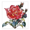 thumbnail image 1 of Kits de punto de cruz estampado Hugo de Pintura de Cuadros 11CT 54x56cm, 1 of 10