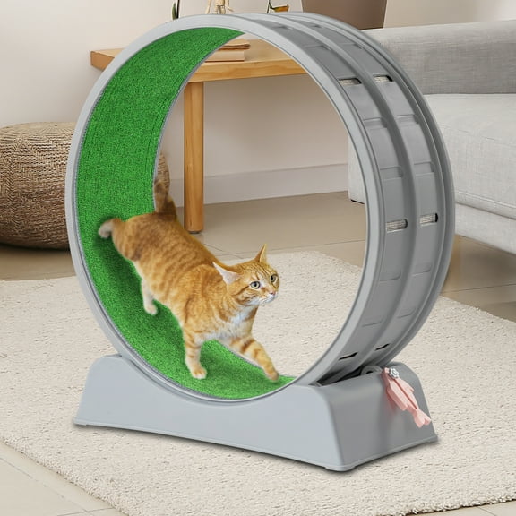 UBesGoo 41in Cat Exercise Wheel, PP Treadmill with Green Mat & Teaser Wand, Light Gray