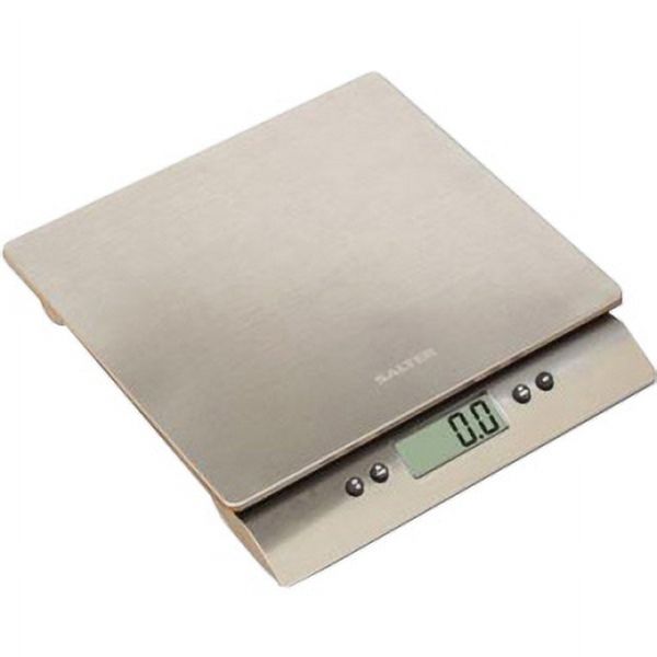 Salter Aquatronic High Capacity Electronic Scale - image 2 of 2