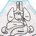 thumbnail image 4 of Hbdhejl Aware Toys Insights For Children Apron Body Educational Anatomy Human Kitchen，Dining Bar, 4 of 8