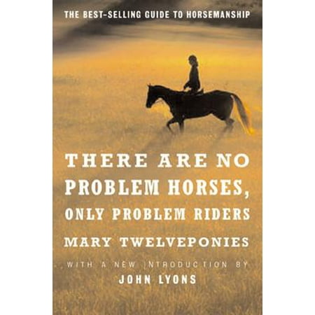 There are No Problem Horses, Only Problem Riders (Best Gifts For Horse Riders)