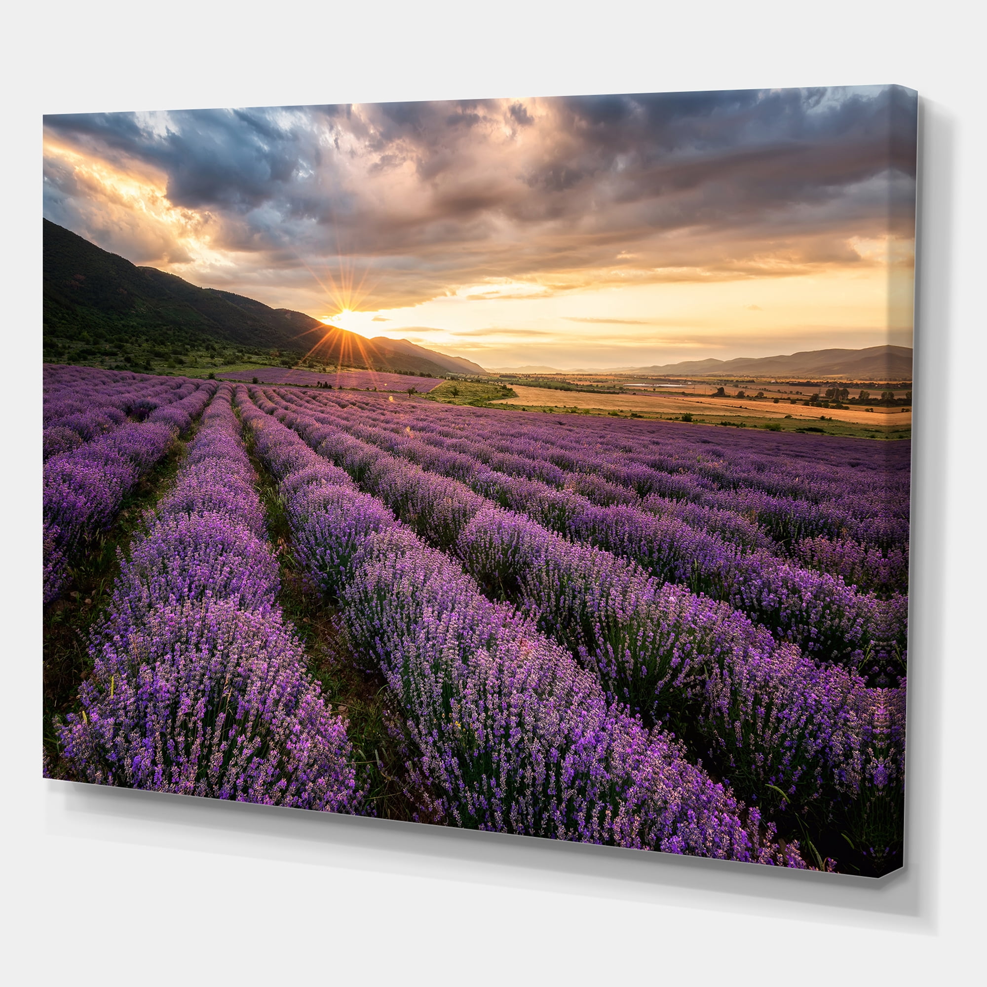 Designart ' Dramatic Clouds and Sunrise Over Lavender Field VI ' Farmhouse Canvas Wall Art Print
