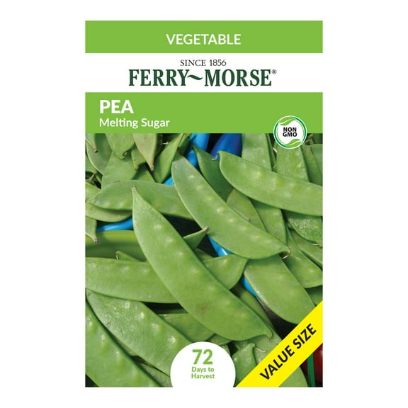 Ferry-Morse Economy 24G Pea Melting Sugar Annual Vegetable Seeds, Full Sun
