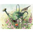 thumbnail image 1 of 300PC WATERING CAN - FRENCH, 1 of 1