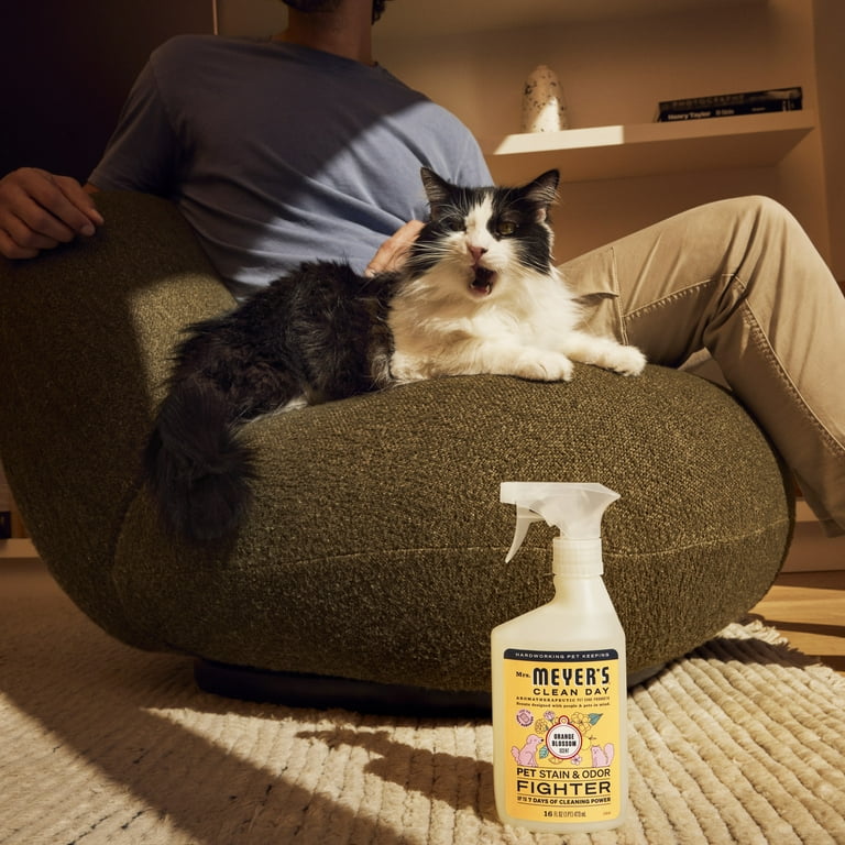 Mrs. Meyer‚Äôs, Pet Stain & Odor Fighter, 16oz, Orange Blossom