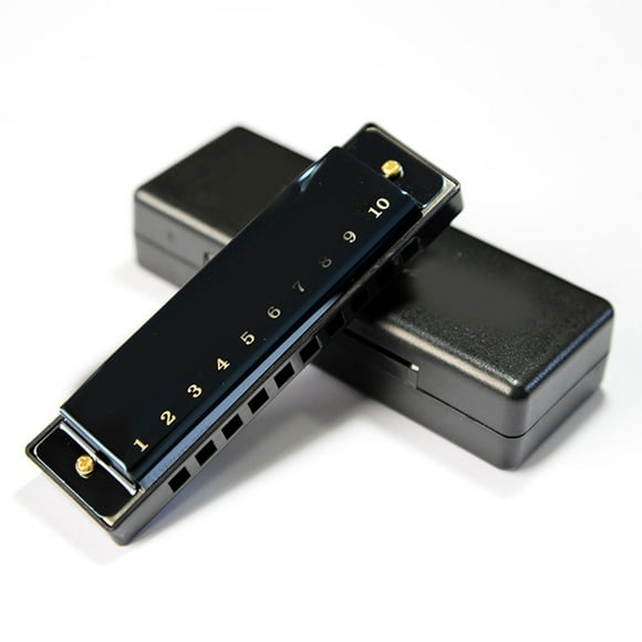 10 Hole Mouth Organ, Full Scale Practical Hole Harmonica for Party