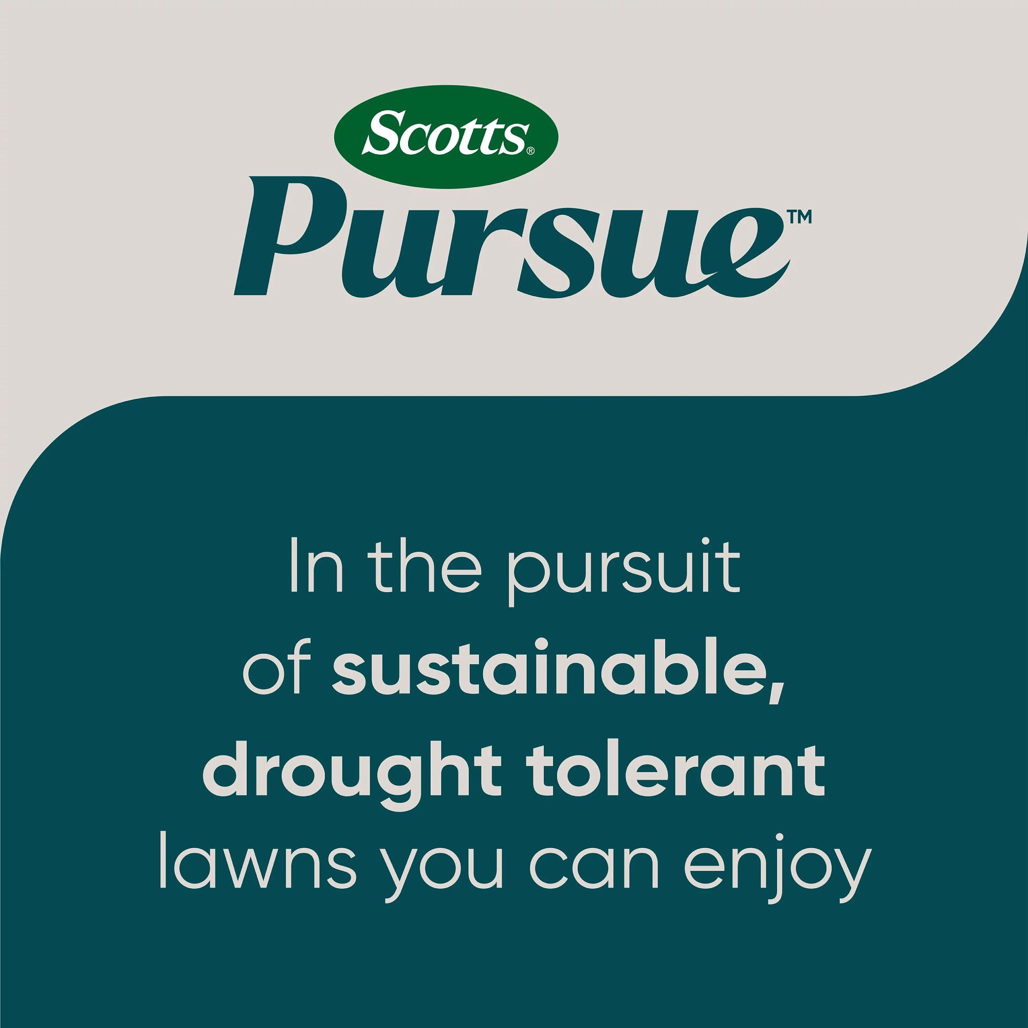 Scotts Grass Pursue Clover Lawn, 2 lb, low-maintenance lawn