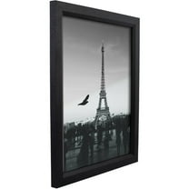 Craig Frames Economy, 14 x 22 inch Picture Frame, Ebony Black Hardwood