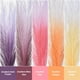 thumbnail image 3 of Uxcell Hierba Pampas Falsa, Decoración Boho para Decoración del Hogar, Tallos Artificiales Esponjosos para Arreglos de Flores en Jarrón para Bodas y Fiestas, Púrpura Oscuro, 3 of 6