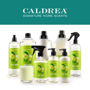 Caldrea Dish Soap, Ginger Pomelo, 16 Oz
