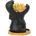 thumbnail image 1 of Macetas de cerámica negras de 9,5 cm, macetas para plantas suculentas, macetas mini hipopótamo, decoración de macetas de cerámica para plantas suculentas de aloe bonsái Rojo Verde, 1 of 5