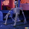 thumbnail image 5 of JOYIN 5.6ft Life Size Skeleton Full Body Realistic Human Bones with Posable Joints for Halloween Pose Skeleton Prop Decoration,Indoor and Outdoor Use, 5 of 8