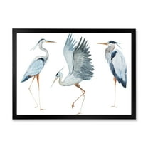 Designart 'Portrait Of Heron Birds II' Traditional Framed Art Print