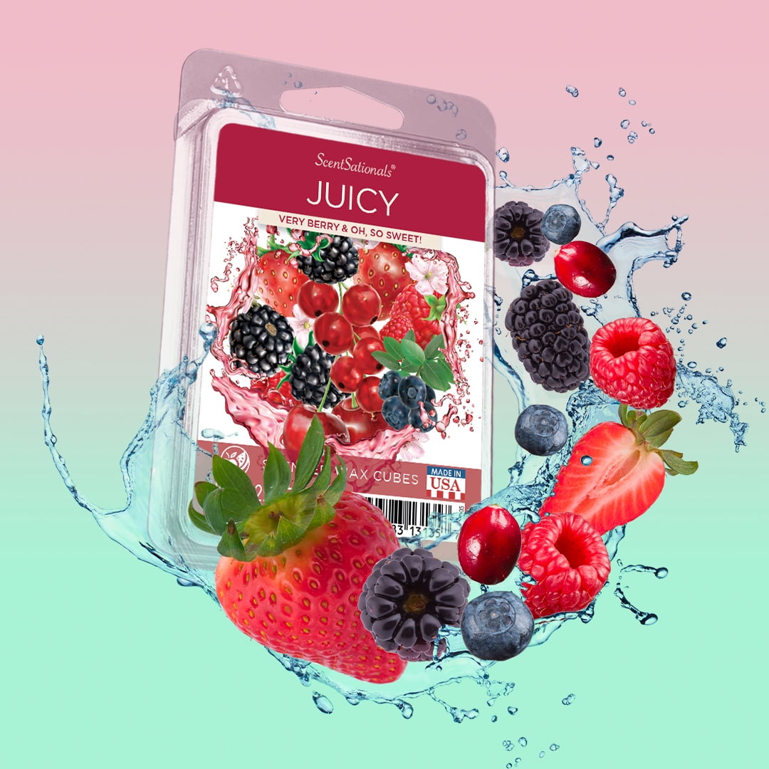 Juicy Scented Wax Melts, ScentSationals, 2.5 oz (1-Pack)