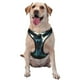 thumbnail image 1 of Balery Wolf Arnés para Perros Grandes Antitirones, Arnés con Correa para Gato, Arnés Tipo Chaleco para Perros Pequeños-Large, 1 of 6