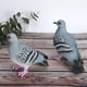 thumbnail image 1 of Decoración De Jardín, Decoración De Estatuilla De Palomas, Decoración De Boda De Balcón Para Decoración Del Hogar Patio OTVIAP Garden Decor, 1 of 8
