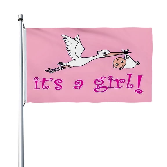 Aihccy It’s A Girl Flag with Brass Grommets Size - 3x5Ft