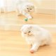 thumbnail image 5 of Juguete interactivo para gatos CHAO Pelota inteligente recargable por USB con luz Azul, 5 of 5