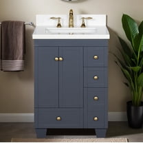Lavanti Depos Solidwood 24-inch Bathroom Vanity with Sink - Stylish Navy Blue