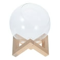 thumbnail image 1 of Miangastore Chinchilla Dust Glass Planter Transparent For Home Decor Indoor Decoration 1 Set, 1 of 8