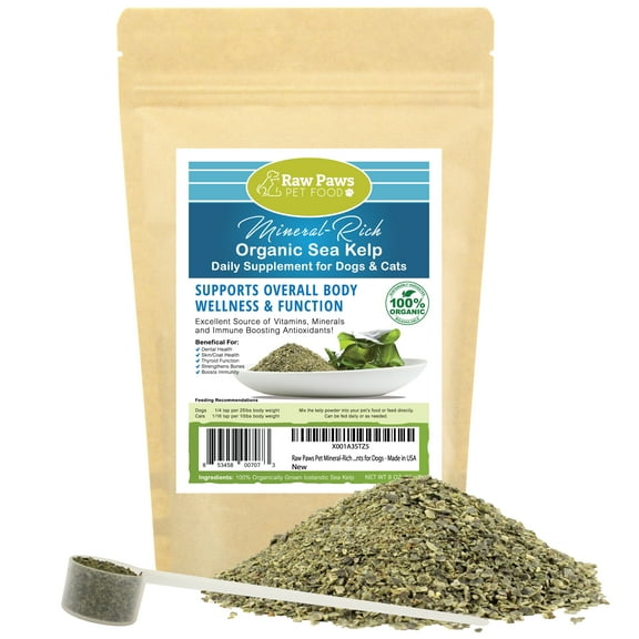 Raw Paws Pet Mineral-Rich Organic Icelandic Sea Kelp for Dogs & Cats, 8-ounce Powder - Kelp Supplements for Dogs - Digestive Aid, Supports Thyroid Function, Immune System & Pet Dental Care