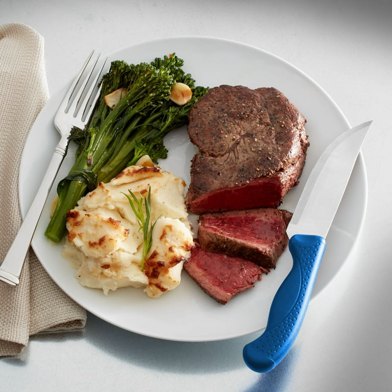 Hoffritz Commercial 4-piece Steak Knife Set, Navy 