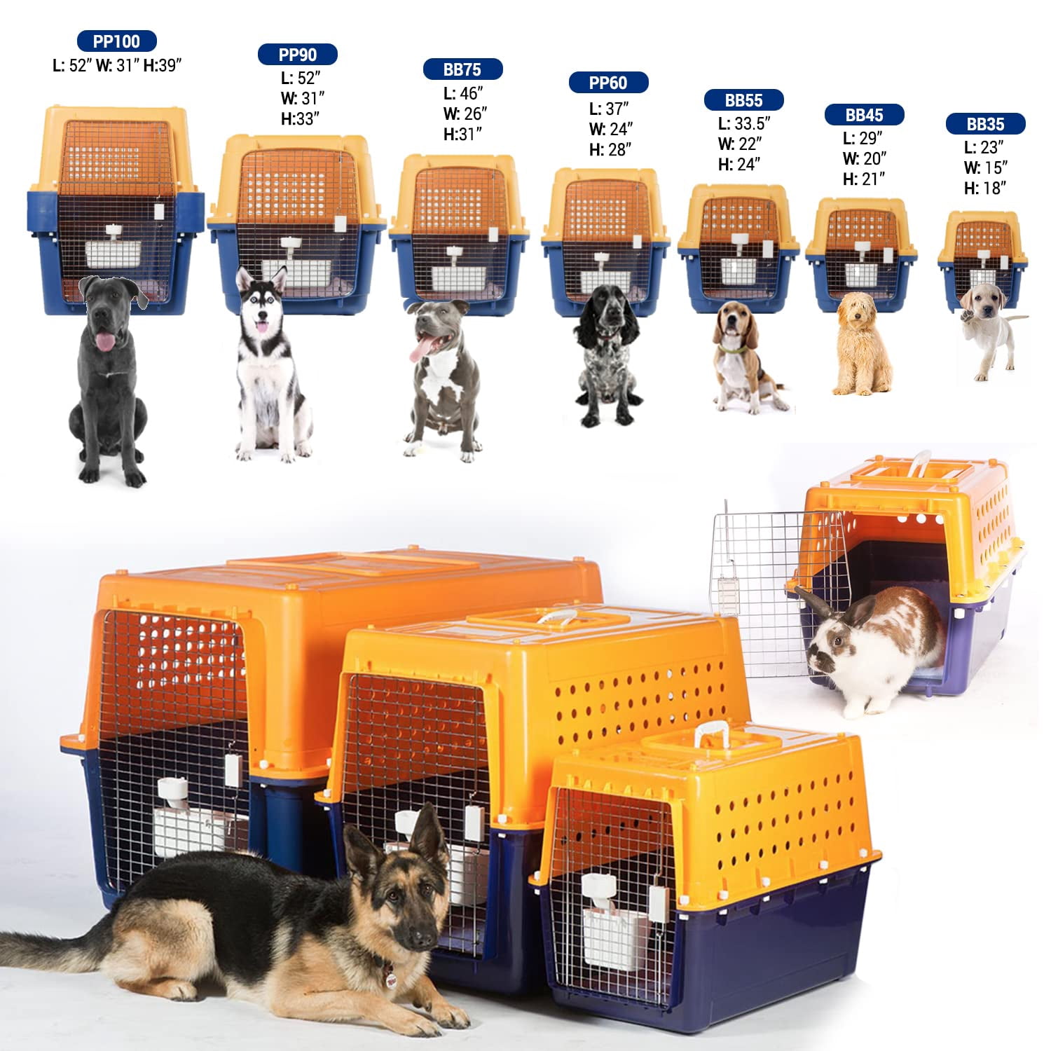 Pet Crate for Large Dogs and Cats, Heavy Duty Airline Approved Travel Kennel, Durable Metal Door Dog Cage Indoor Outdoor Use, Includes Mat and Bowl, Yellow and Blue