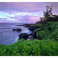 thumbnail image 2 of Fitzharris, Tim 13x12 White Modern Wood Framed Museum Art Print Titled - Hana Coast Maui, 2 of 4