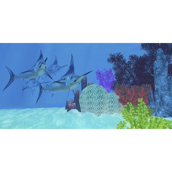 Marlin predatory fish look for prey around an ocean coral reef Canvas Art - Corey FordStocktrek Images (20 x 10)
