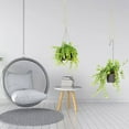 thumbnail image 2 of 8 Pieces Macrame Beige Plant Hanger Extender Rope Hanging Basket Large Pot Holders (Beige), 2 of 3