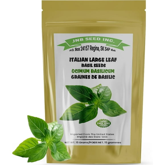 SHIQI-Italian Large Leaf Basil Seeds (Approx. 18,500 Seeds-15 Grams) for Your Garden Fresh and Flavorful & Grow Your Own Authentic Italian Herb