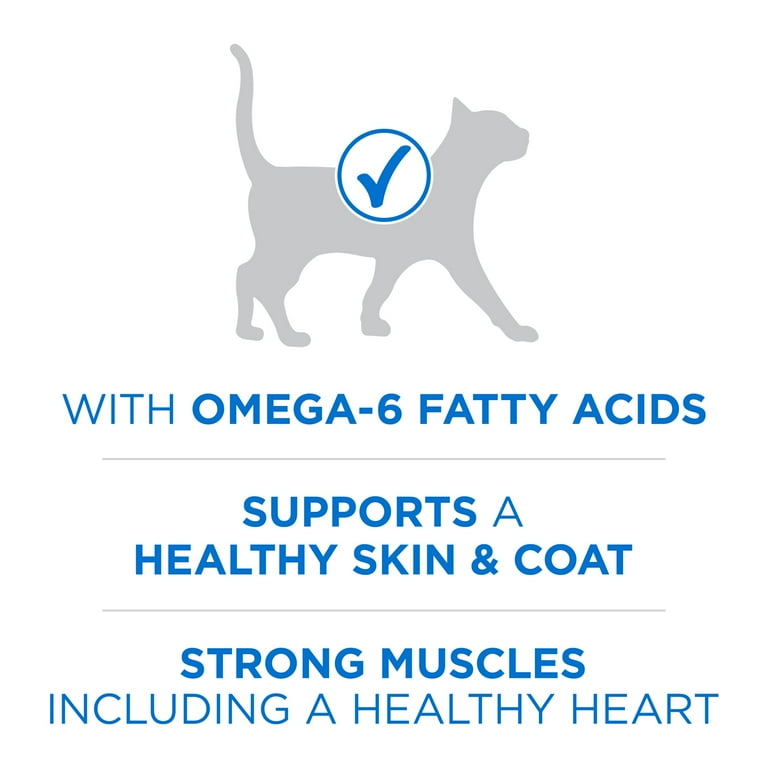 Purina ONE Plus Salmon Cat Food, High Protein Kibble photo 5