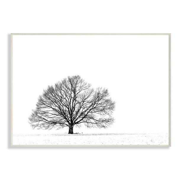 Stupell Industries Winter Tree Silhouette Black And White Landscape Photograph Wall Plaque By Matthias Conrad Walmart Com Walmart Com