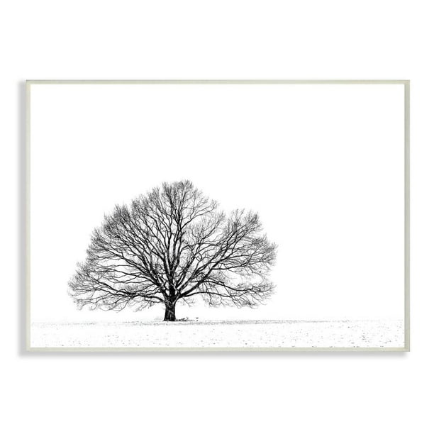 Stupell Industries Winter Tree Silhouette Black And White Landscape Photograph Wall Plaque By Matthias Conrad Walmart Com Walmart Com Stupell Industries Winter Tree Silhouette Black And White Landscape Photograph Wall Plaque By Matthias Conrad Walmart Com Walmart Com