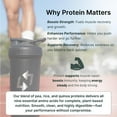 thumbnail image 4 of Vanilla Vegan Protein Powder with Creatine - 20g Plant-Based Protein, 5g Creatine - All-Natural, Gluten-Free, Easy Mix, TSA Friendly - Single-Serve Packets for Travel, Gym & Recovery (60-Pack), 4 of 9