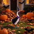 thumbnail image 5 of Halloween Porch Goose Outfit Witch Geese Costume 23 Inch for Yard Lawn Outdoor Garden Patio, 5 of 6