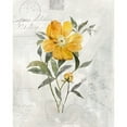 thumbnail image 3 of Robinson, Carol 15x18 Black Modern Framed Museum Art Print Titled - Canary Linen Peony, 3 of 5