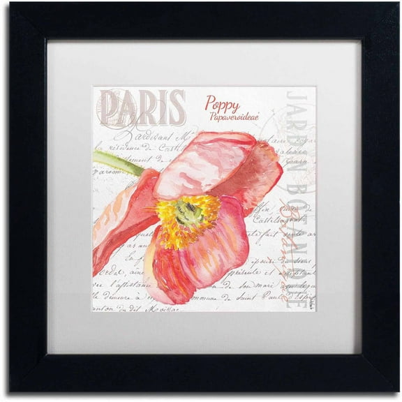 Trademark Fine Art "Paris Botanique Red Poppy" Canvas Art by Jennifer Redstreake White Matte, Black Frame
