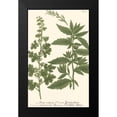 thumbnail image 2 of Weinmann 13x18 Black Modern Framed Museum Art Print Titled - Weinmann Leaves III, 2 of 5