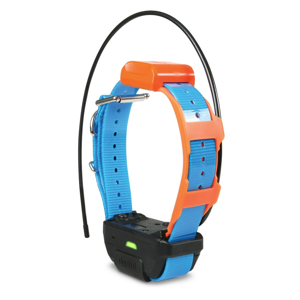 Dogtra GPS Tracking and ECollar for Remote DOG TrainingBlue