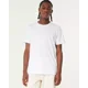 thumbnail image 4 of Playera Hollister Original Con Cuello Redondo E Icono, 4 of 5