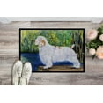 thumbnail image 2 of Carolines Treasures SS8261MAT 18 x 27 in. Clumber Spaniel Indoor Outdoor Doormat, 2 of 4