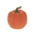 thumbnail image 1 of Dolomite Flocked Pumpkin (Small), 1 of 3