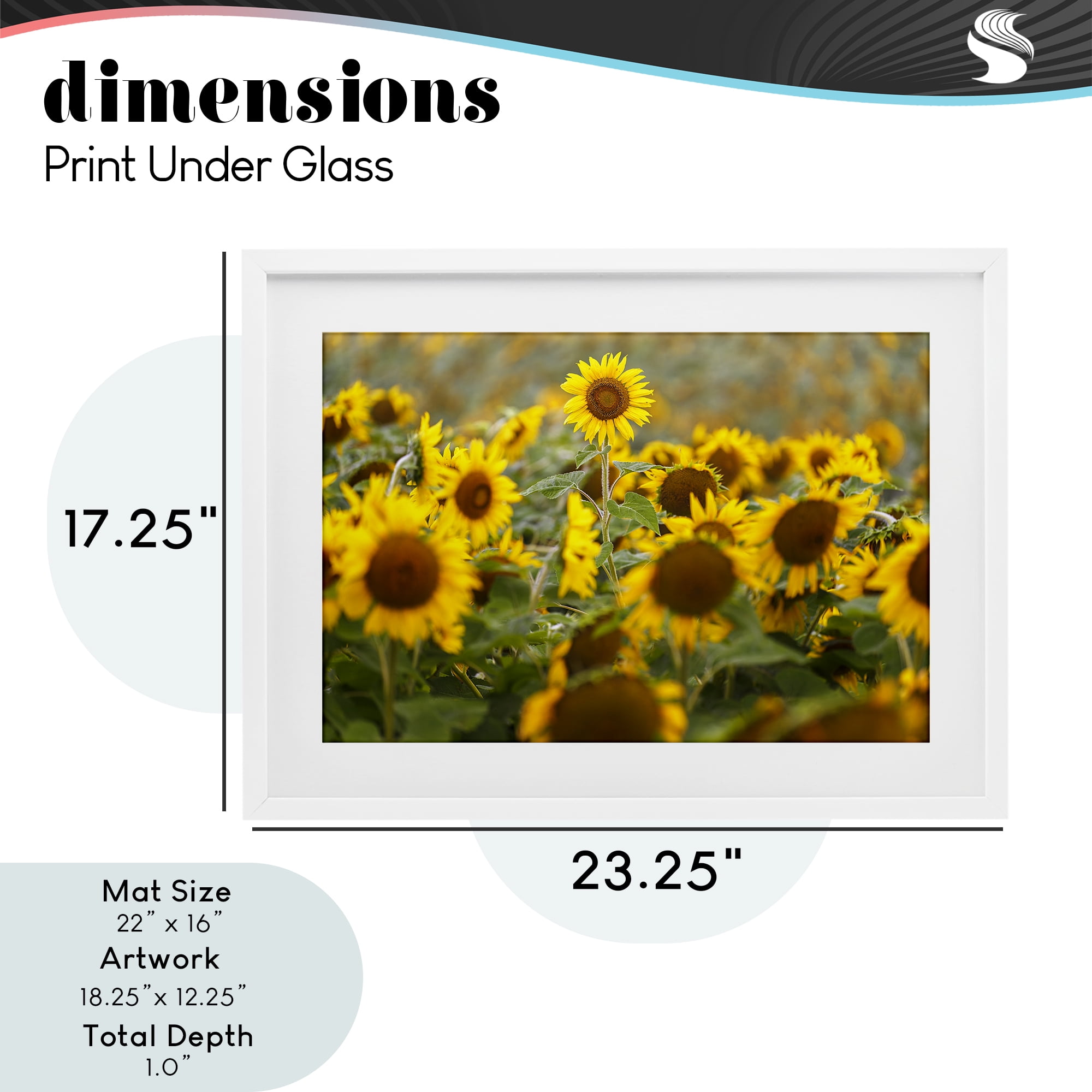 Central Sunflower in Meadow White Framed Print Under Glass, design by Andy Crawford