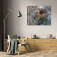 thumbnail image 3 of Dana Underdahl 24x18 Gallery Wrapped Canvas Wall Art Titled - Resting Lion II, 3 of 4