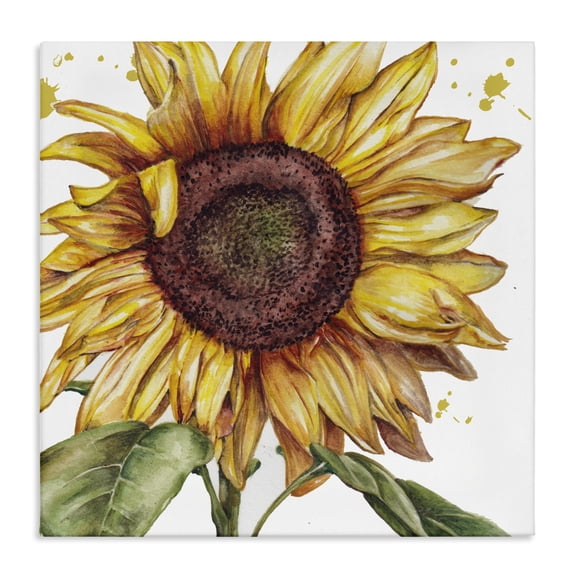 Stupell Industries French Country Modern Country Sunflower Canvas Art, 24 x 24, by Studio 731 rep. Levison Designs