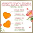 thumbnail image 2 of Prenatal Vitamins for Women – Complete Pregnancy Multivitamin - Folic Acid, Omega 3 DHA, Choline, Vitamin D – Essential Support for Mom's & Baby Brain Development - Tasty Orange Flavor - 60 Gummies, 2 of 9