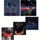 thumbnail image 5 of Collar de perro intermitente con luz recargable por USB, longitud ajustable, collar intermitente impermeable cortable para perros, 3 modos, para perros pequeños, medianos y grandes (, 5 of 5