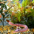 thumbnail image 4 of Dpityserensio Printed,Fish Tank Landscaping Decoration Printing Articulated, 4 of 5